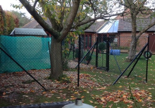 Animal Enclosures Amersham