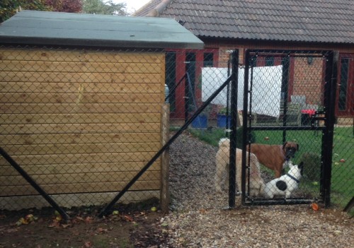 Chain Link Fencing, Animal Enclosures