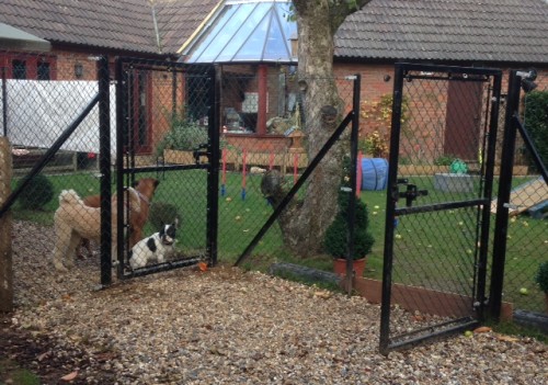 Dog and animal enclosures Beaconsfield