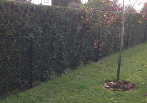 Chain link fencing Aylesbury