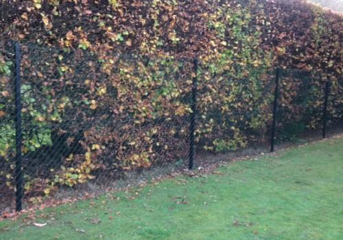 Dog proof chain link fence Buckinghamshire