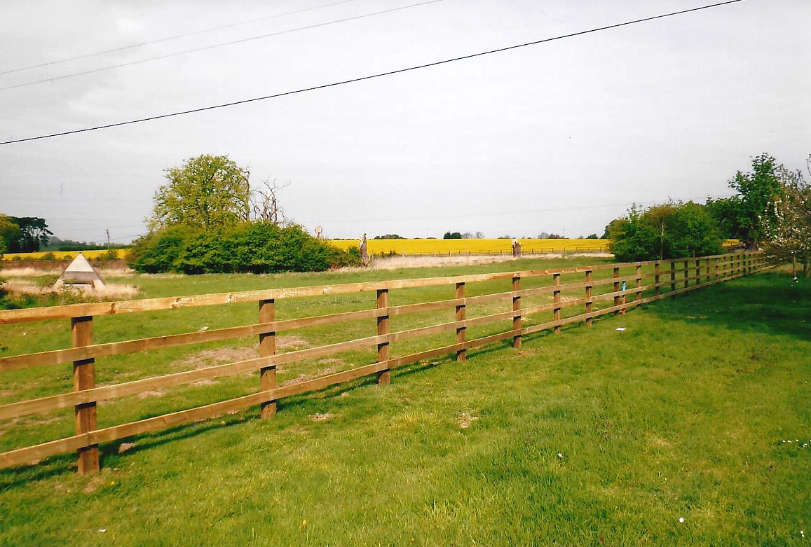 Split rail fence dog proof cheap