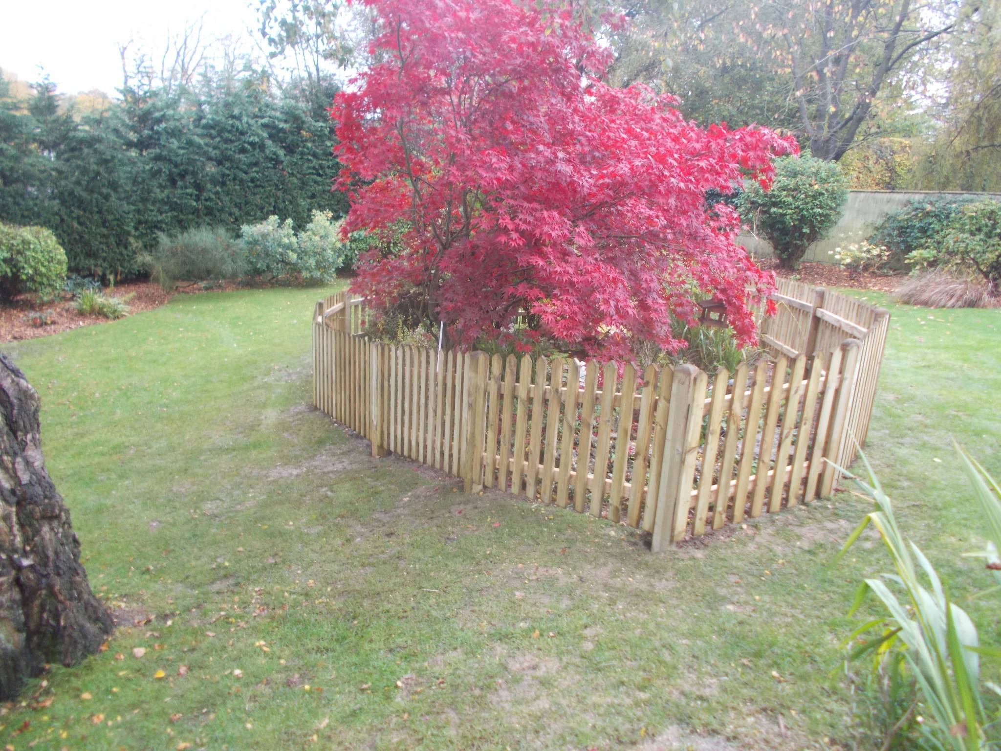 Child Proof Pond Clayton's Fencing