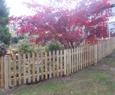 Picket fence round a pond